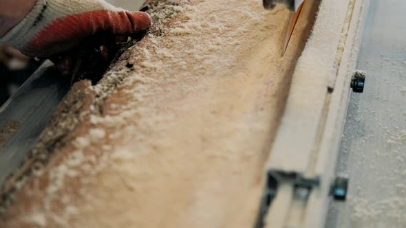 A carpenter processes a wooden blank on a circular saw in a carpentry workshop. 