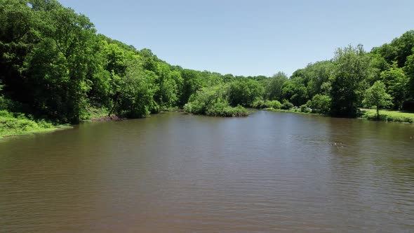 Aerial view of green forest on the border of dark water river in sunny day