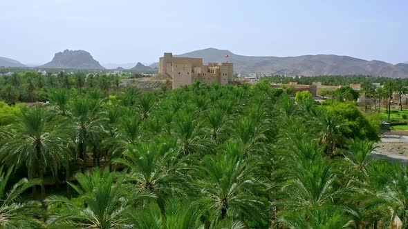 Aerial view of Al Rustaq Fort, Palm trees dolly to the Fort, Oman