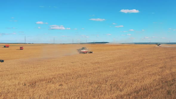 Rye Field with Multiple Reaping Combines at Work