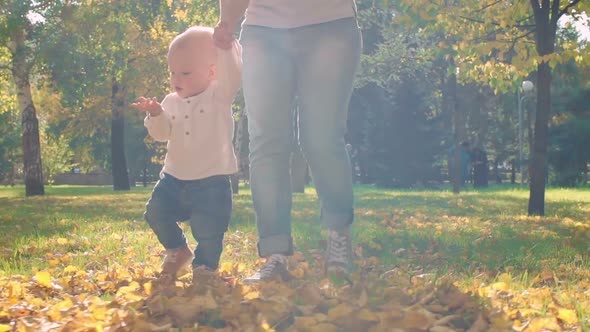 Mother and Little Son Walking in Park alt