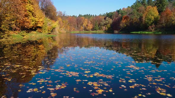 Colorful Autumn Forest Wood on the Lake