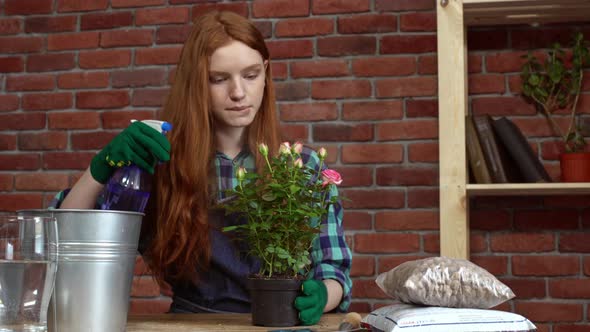 Beautiful Redhead Girl Looking After Flowers