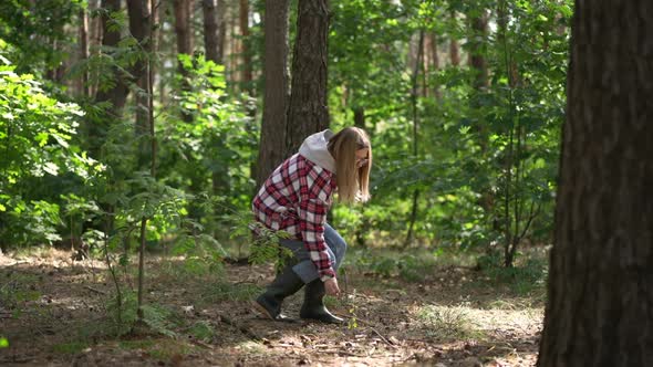 Side View Young Woman Picking Firewood Branches in Forest Walking in Sunshine in Slow Motion