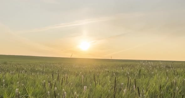 Hill Meadow Timelapse at the Summer or Autumn Time. Wild Endless Nature and Rural Field. Sun Rays