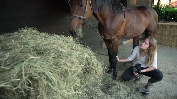 Cheerful Female with Long Blonde Hair Putting Off Grey Bandages on Purebred Stallion Legs After the