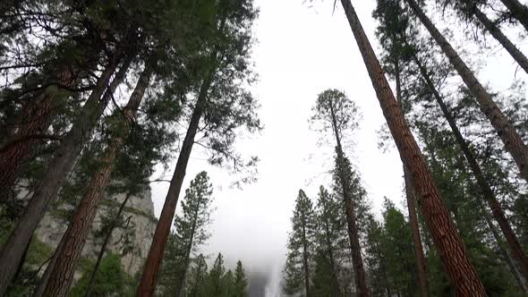 Tilt down to reveal Yosemite Falls in Yosemite Valley during the day. 30p conformed to 24p.