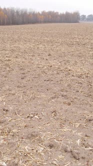 Vertical Video of a Field with Plowed Land in Autumn Slow Motion