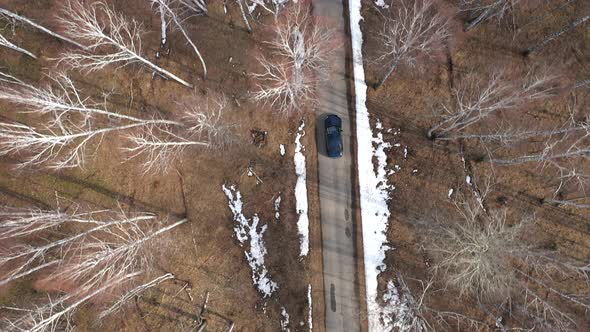 Aerial view of car moving on the road