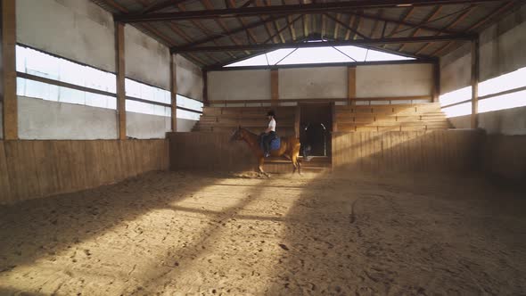 Young Woman Rider Trains Riding a Horse in a Covered Hangar, Girl Rides a Horse, Beautiful Light and