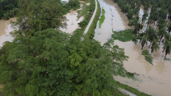 Aerial view flood at rural area of oil palm