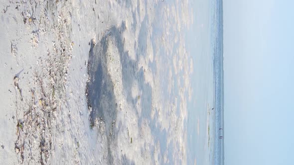 Zanzibar Tanzania  Vertical Video of Low Tide in the Ocean Near the Coast Slow Motion