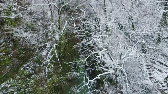 Stream of Water Flowing Among the White Rocks in the Forest in Winter