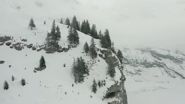Aerial of pine trees at the edge of mountain overlooking snow white valley