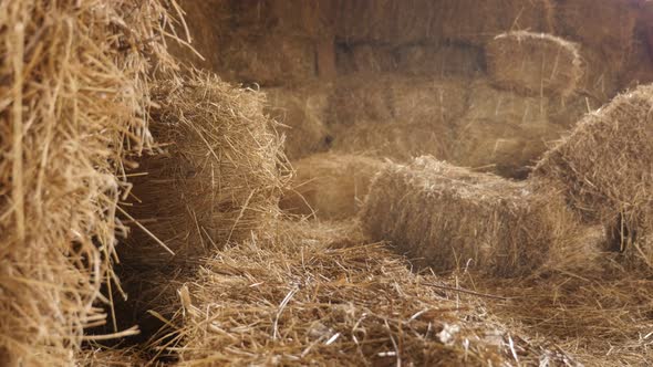 Shallow DOF baled hay stacks in curing process 4K 2160p 30fps UltraHD tilting footage - Winter anima