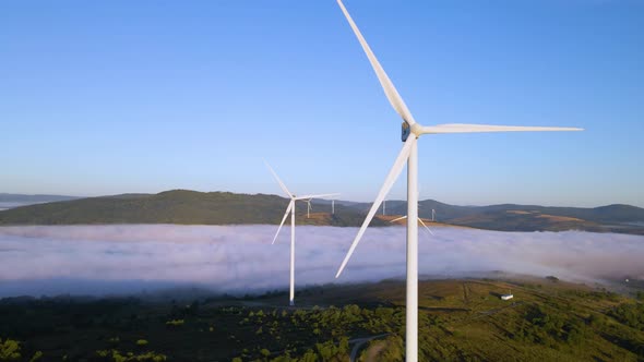 Wind Farm in the Morning Fog