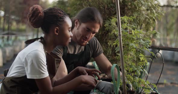 Multiracial Colleagues Discussing Plants in Bag