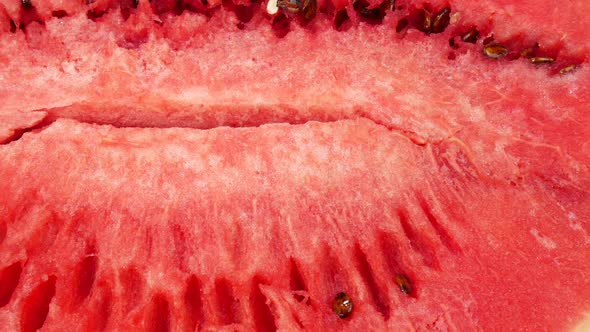 Watermelon Pulp