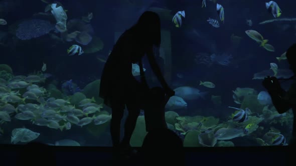 A Man Photographs a Young Woman in the Oceanarium
