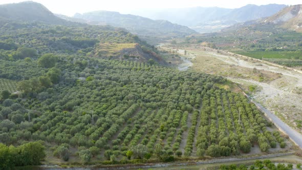 Calabrian Dry River