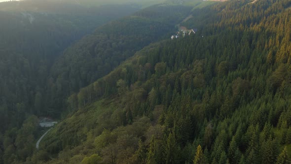 Aerial view of a forest in Transylvania area