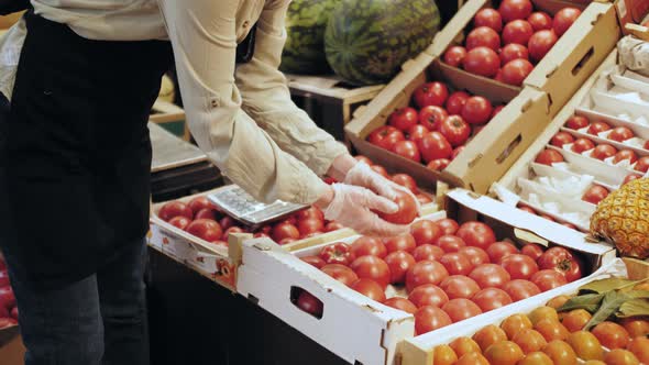 Vendor Wearing Gloves Checks the Quality Tomatoes at the Food Market