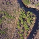 Aerial view of the river between the pines. Flying over a winding riverbed surrounded by treetops - VideoHive Item for Sale