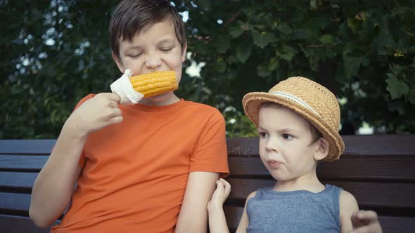 Footage Two Brothers Eating Boiled Corn Sitting on Bench in Park