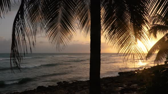 Warm Barbados sunset 