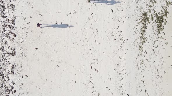 Vertical Video People Play Football on the Beach in Zanzibar Tanzania Aerial View