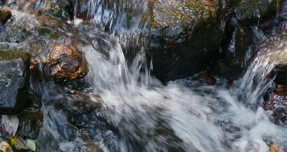 Cascade river in the forest