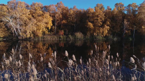 Rafting on the Forest River on Beautiful Sunny Autumn Days