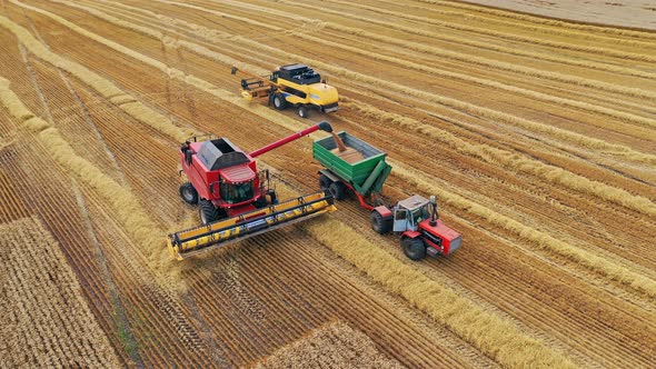 Combine harvesters and tractors on the field