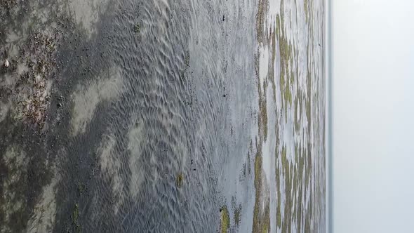 Vertical Video of Low Tide in the Ocean Near the Coast of Zanzibar Tanzania Aerial View