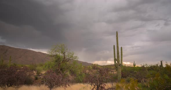 Saguaro National Park, Tucson Arizona. Beautiful Timelapse with dramatic storm clouds at sunset