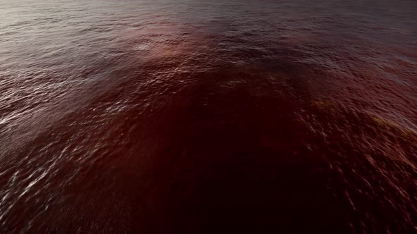 Red Orange Waves At Sunset In The Ocean alt