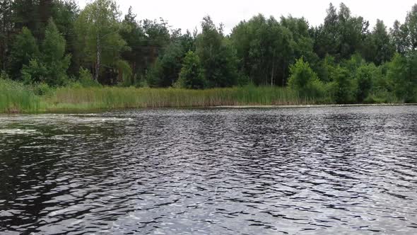 Low View of Marshy Lake With Thick Forest in Background Pan Right