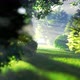 Flight in the Wood - VideoHive Item for Sale