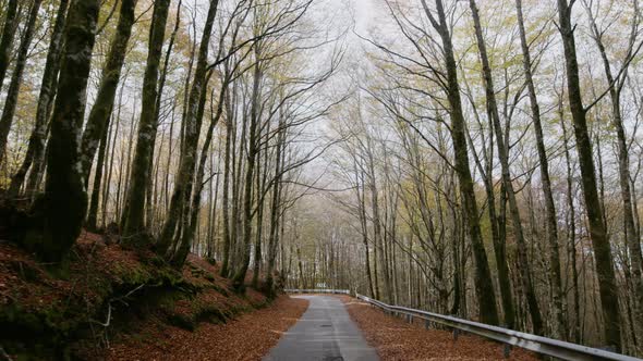 Autumn Street in Aspromonte