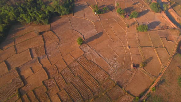 Aerial view of farmers farmland in dry season. beautiful scenery in the morning