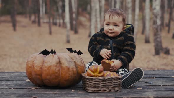 10 Month Old Baby Sit with Pumpkin and Bun on Wooden Table in Autumn Forest