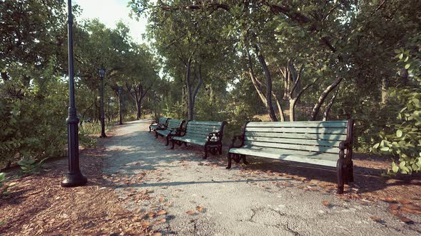 Empty Benches at Public Park During Curfew Cause of Corona Virus Quarantine