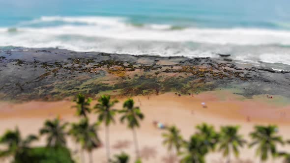 Tilt Shift from tropical beach, blue water, coconut trees and people walking.