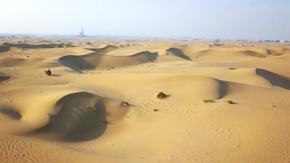 Aerial Survey Drone Flies Over the Desert, Bedouin with a Camel Resting. 