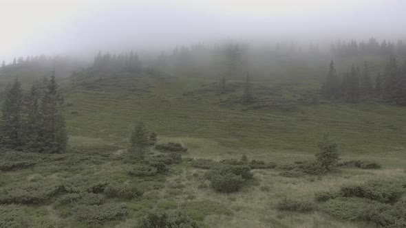 Hill covered in clouds