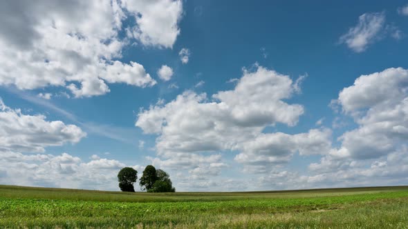 Time lapse country wheat field scenic trees clouds