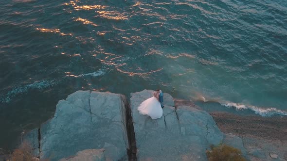 Wedding Couple. Lovely Groom and Bride. Happy Family. Aerial Shot