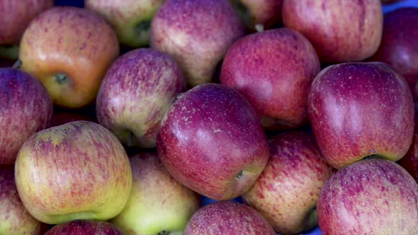 Apples for sale at the free market, panoramic plan