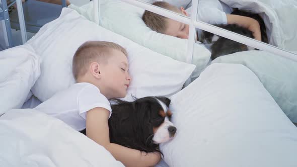 A Europeanlooking Boy a Child and a Dog Sleeping Together Covered in a Soft White Blanket