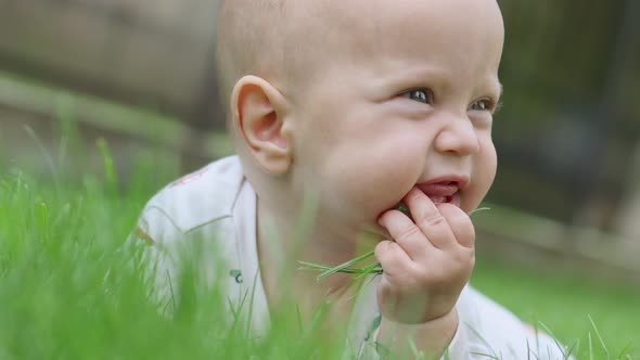 Happy Infant Baby Lying Green Meadow Field Touching Grass Trying Eat Opening Mouth